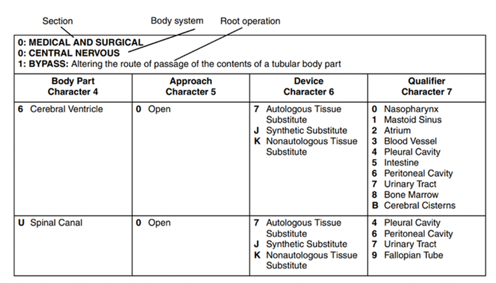 Icd 10 pcs Codes Are Used To Report Which Of The Following